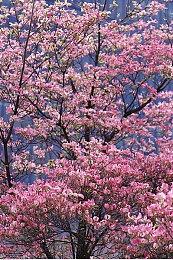 科学ADV《匿名代码》新角色公开 7月28日发售